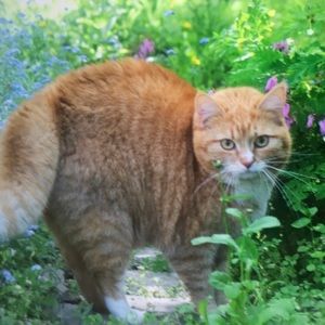 Meet your Posher, Howard